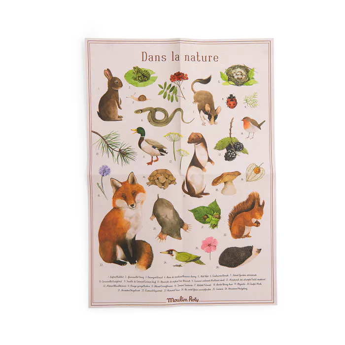 Coffret découverte Animaux du jardin Moulin Roty - Maison Continuum