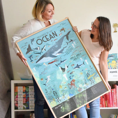 Poster pédagogique océan Poppik - Maison Continuum