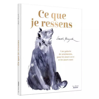 Livre "Ce que je ressens" Auzou - Maison Continuum