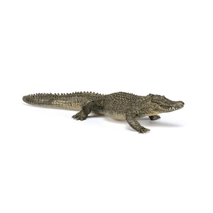 Figurine alligator Papo France - Maison Continuum