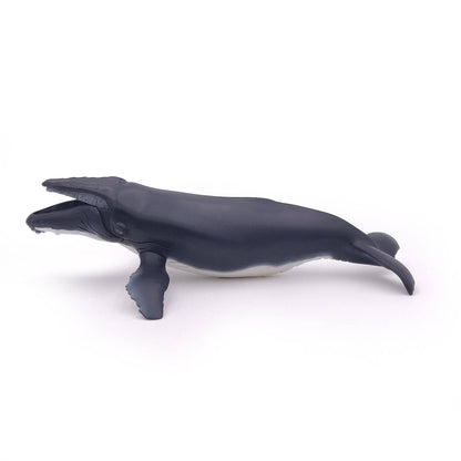 Figurine baleine à bosse Papo France - Maison Continuum
