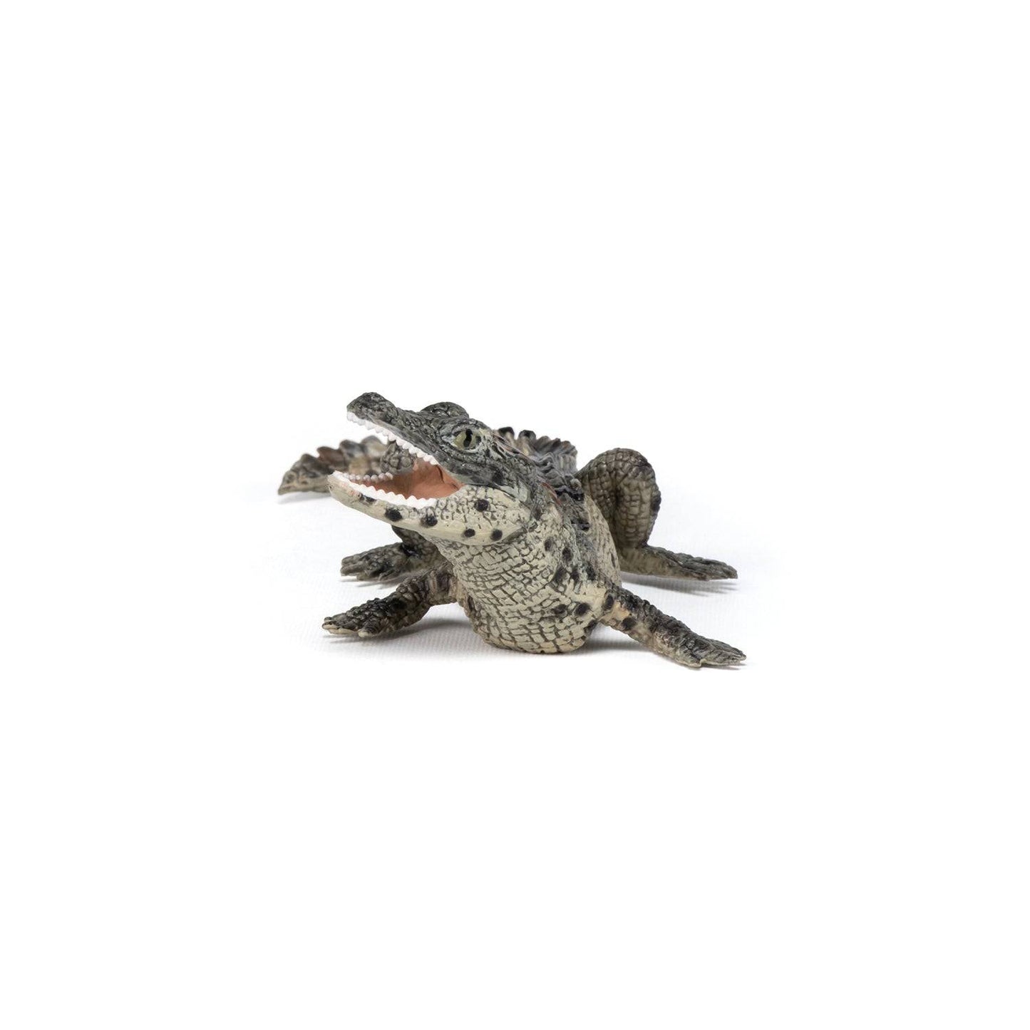 Figurine bébé crocodile Papo France - Maison Continuum