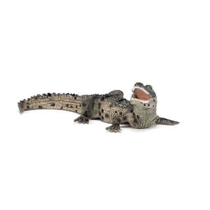 Figurine bébé crocodile Papo France - Maison Continuum