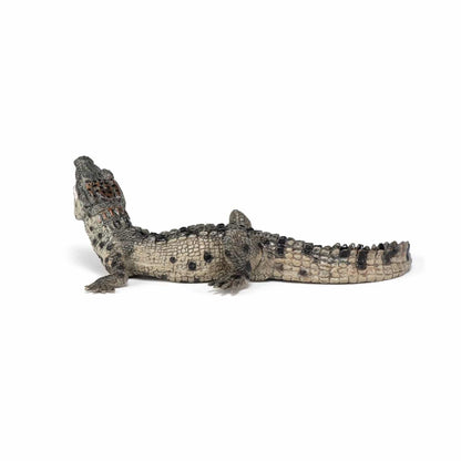 Figurine bébé crocodile Papo France - Maison Continuum