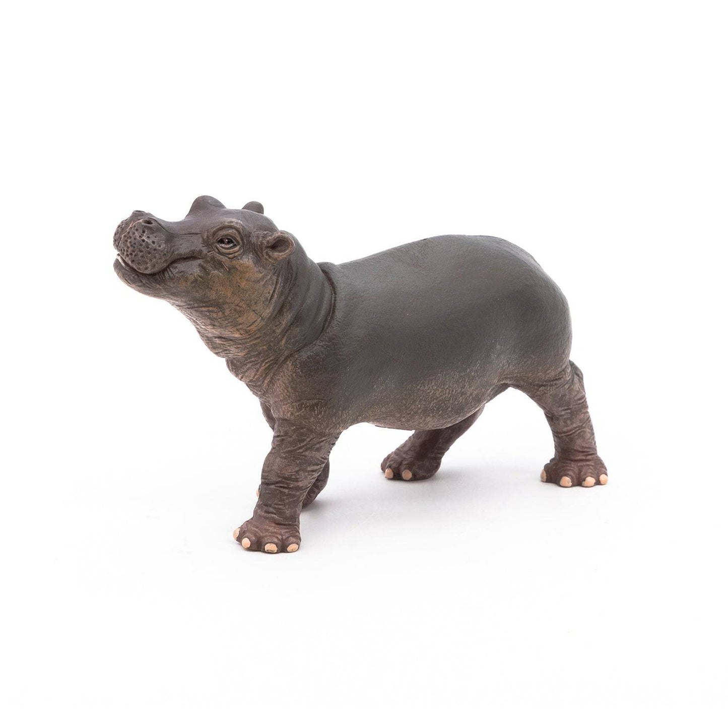 Figurine bébé hippopotame Papo France - Maison Continuum