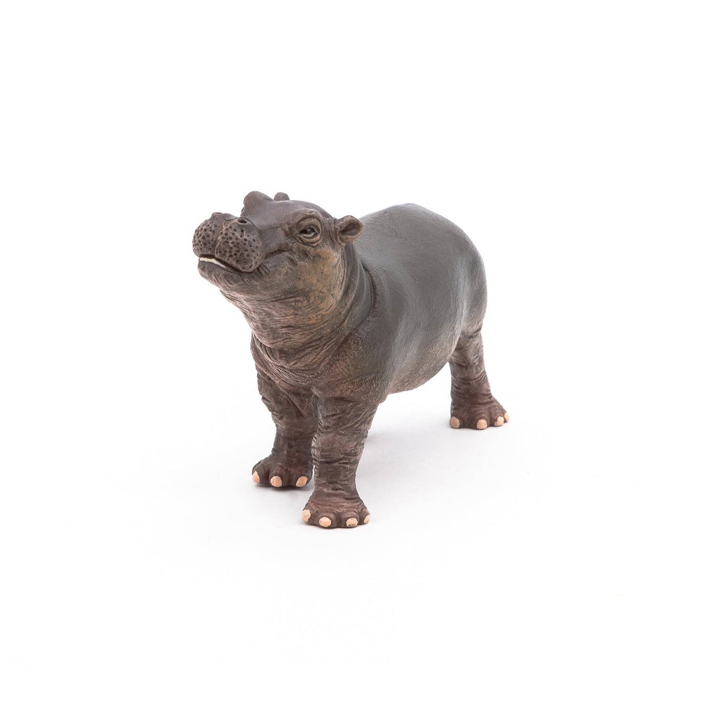 Figurine bébé hippopotame Papo France - Maison Continuum