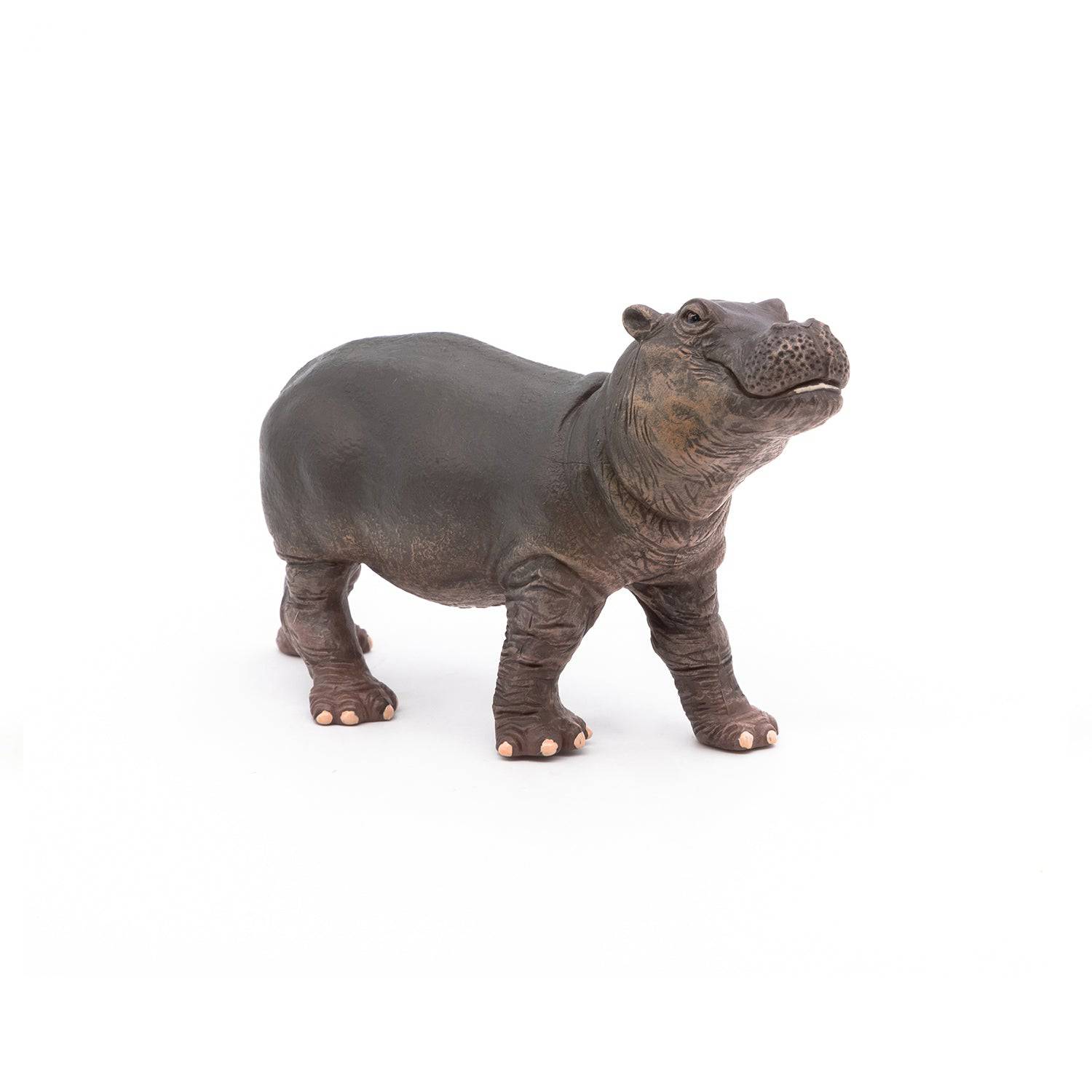 Figurine bébé hippopotame Papo France - Maison Continuum