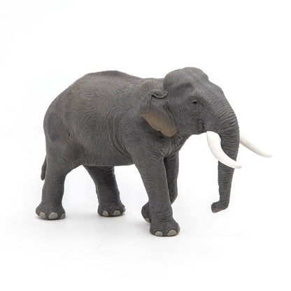 Figurine éléphant d’Asie Papo France - Maison Continuum