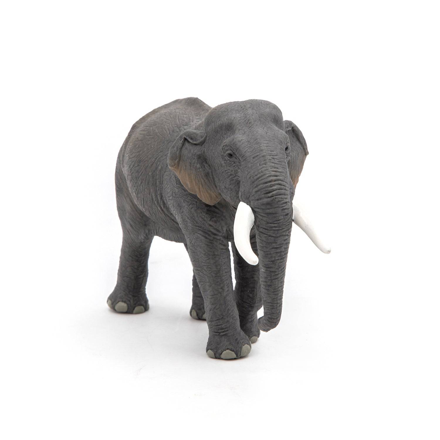Figurine éléphant d’Asie Papo France - Maison Continuum