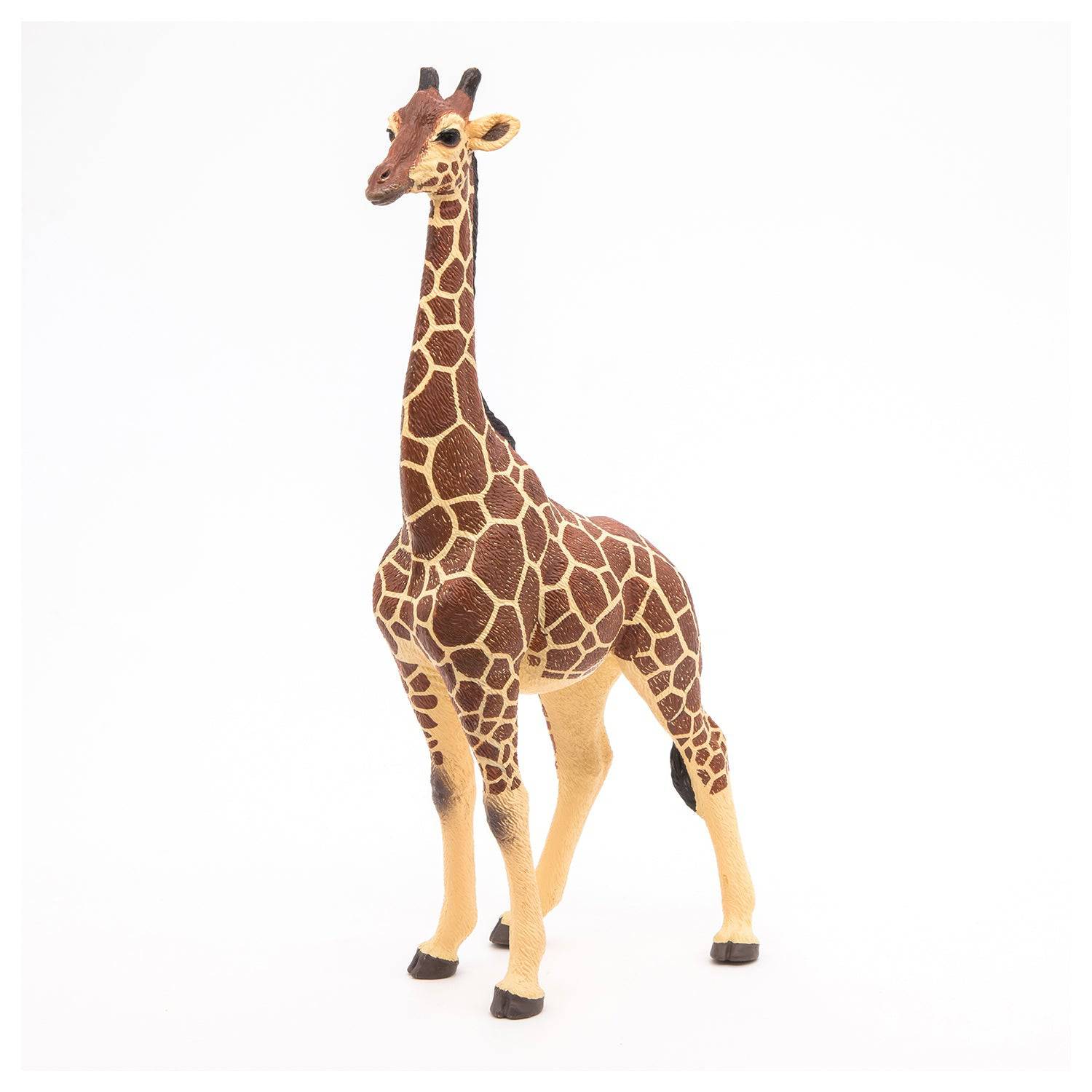 Figurine girafe mâle Papo France - Maison Continuum