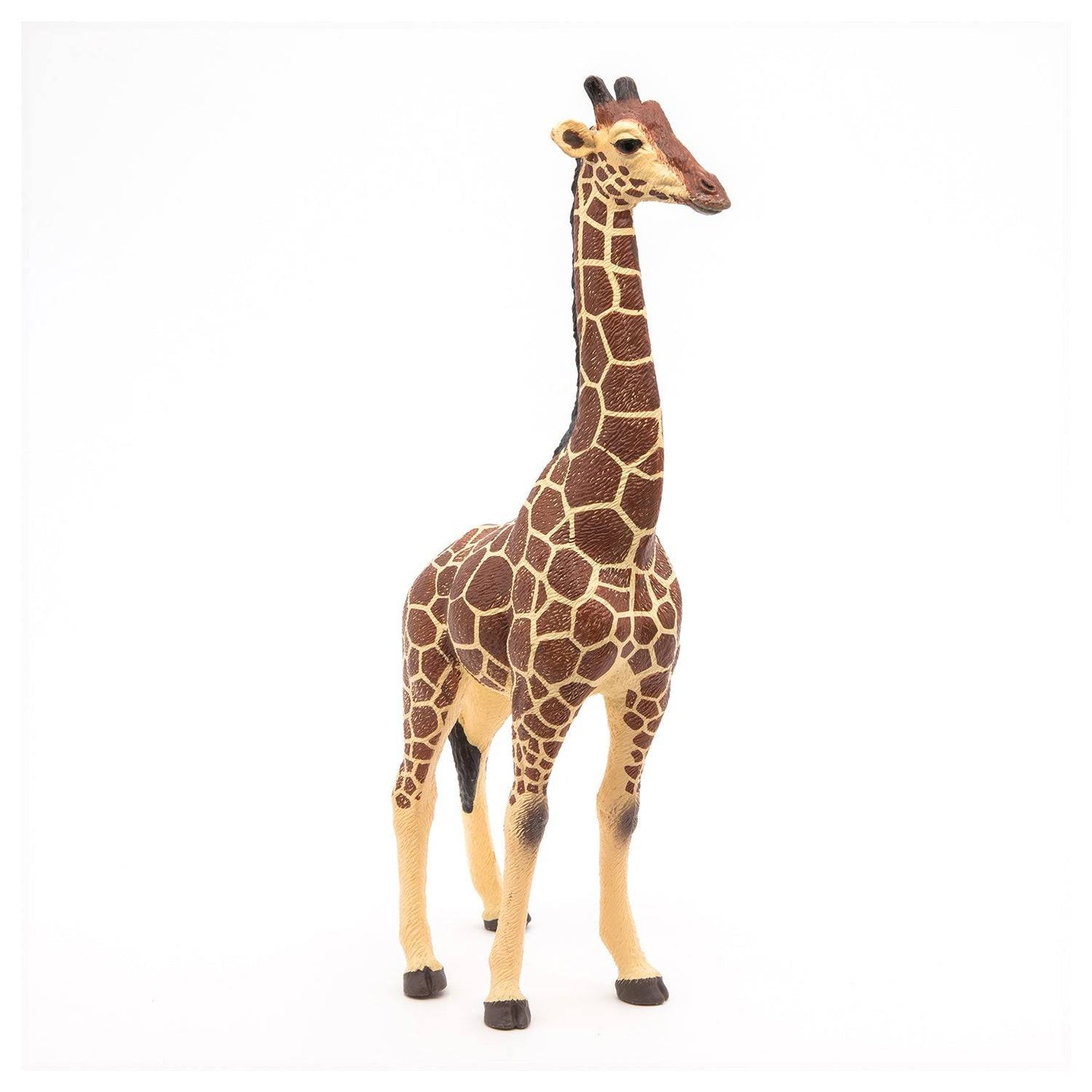 Figurine girafe mâle Papo France - Maison Continuum