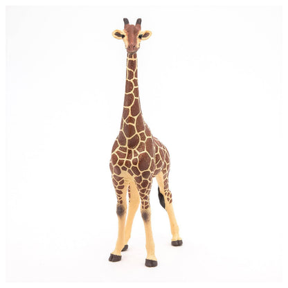 Figurine girafe mâle Papo France - Maison Continuum