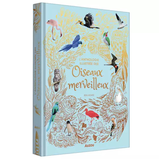 L'anthologie illustrée des oiseaux merveilleux Auzou - Maison Continuum