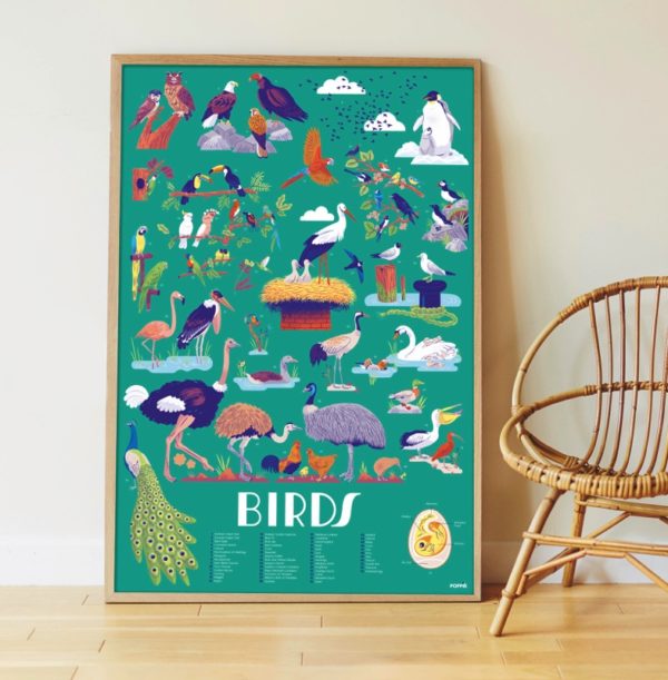 Poster pédagogique oiseaux Poppik - Maison Continuum